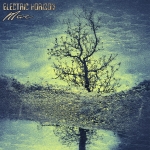 Electric Horizon