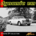 Dynamic EM Collection