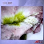 Little Things