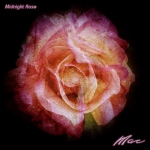 Midnight Rose