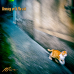 Running with the Cat