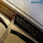 Wasted